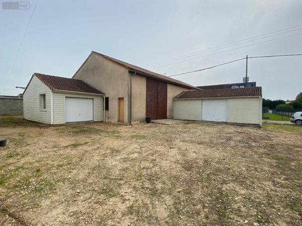 Entrepôt à louer à Mâcon en Saône-et-Loire (71000), ref : LC 500