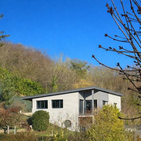 Bien rare à la vente!