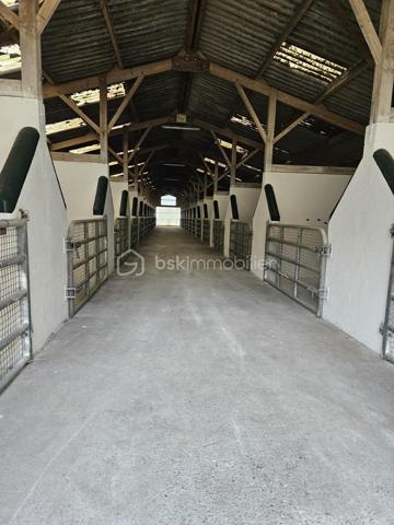 Terrain de 200 000 m²