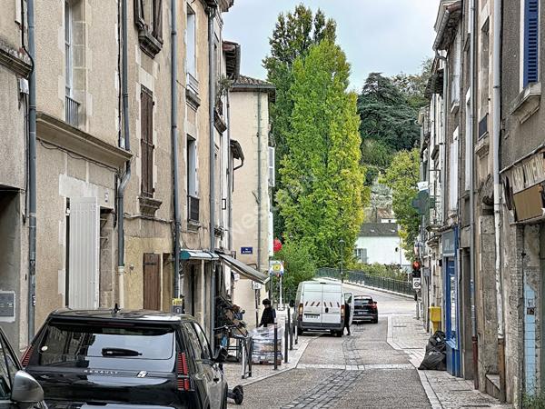 Poitiers centre-ville : charmant appartement T2 de 52 m² avec jardinet privatif, parquet ancien, cave et cuisine équipée : un petit air de campagne en plein coeur de ville !