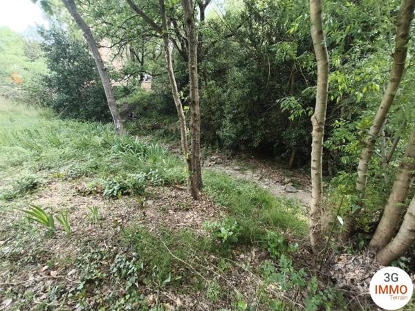Vente / Terrain constructible