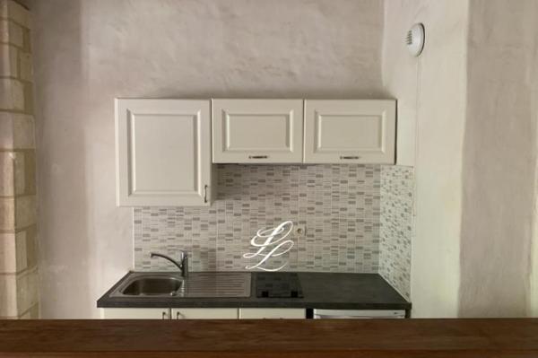 Location - Appartement 1 pièces 44 m 2 LA RICHE (37520)
