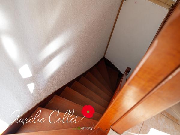 Appartement 2 pièces - 30 m² Exclusivité efficity