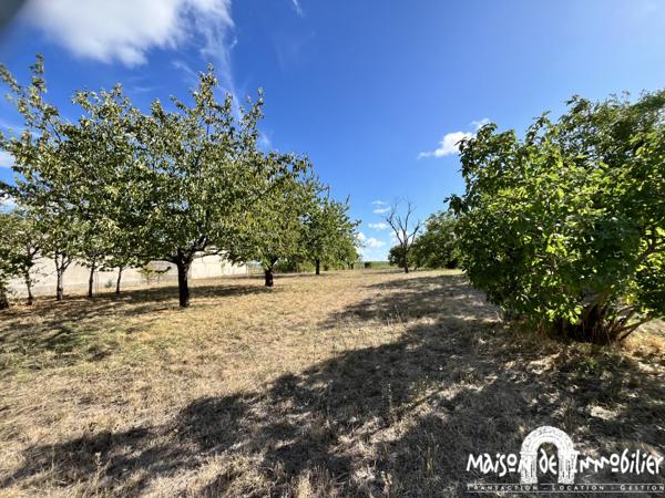 Vente Maison familiale avec vaste terrain constructible - 205m² - 9 pièces - Entre COGNAC, SEGONZAC et JARNAC