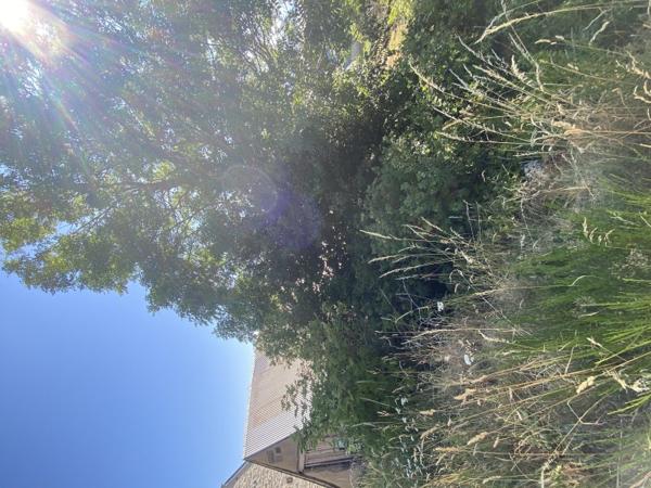 Vente / Garage / Parking à Anzat-le-Luguet (63420)