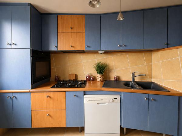 Appartement Chevigny Saint Sauveur 5 pièce(s)