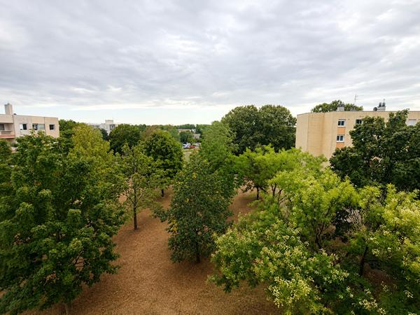 Appartement Chevigny Saint Sauveur 5 pièce(s)