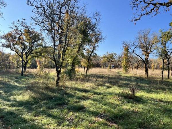 Terrain à vendre |  Crégols |  29655 m²