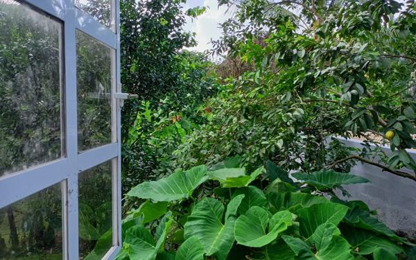 Appartement à louer    3 pièces •  Rivière-Pilote