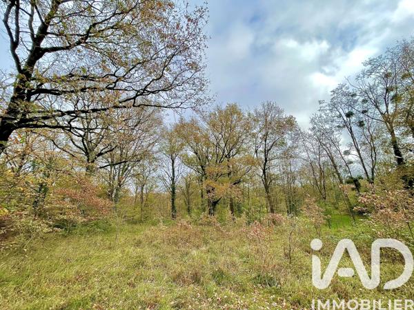 Terrain à vendre 4 532 m² Le Blanc