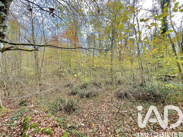 Terrain à vendre 4 532 m² Le Blanc