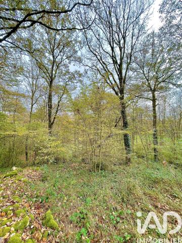 Terrain à vendre 4 532 m² Le Blanc