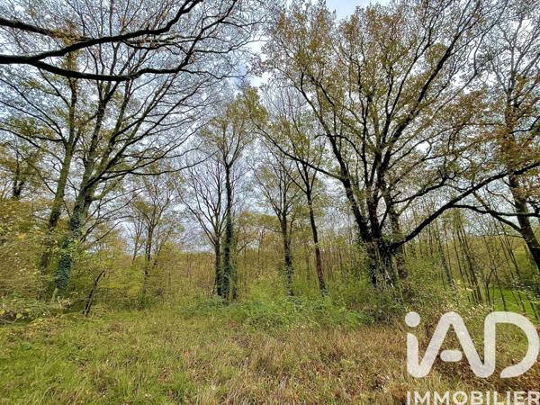 Terrain à vendre 4 532 m² Le Blanc