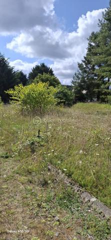 Terrain à vendre à Loris – 1260 m² – 97 000 €

Surface : 1260 m²

Viabilisé : raccordé au tout-à-l'égout, à l’électricité et à l’eau

Construction : terrain constructible, idéal pour projet immobilier

Bâtis existants : 3 maisons en bois déjà construites (à finir)

Potentiel : possibilité de construire 3 autres maisons supplémentaires


💰 Prix : 97 000 €

Idéal pour investisseur ou projet familial.