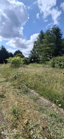 Terrain à vendre à Loris – 1260 m² – 97 000 €

Surface : 1260 m²

Viabilisé : raccordé au tout-à-l'égout, à l’électricité et à l’eau

Construction : terrain constructible, idéal pour projet immobilier

Bâtis existants : 3 maisons en bois déjà construites (à finir)

Potentiel : possibilité de construire 3 autres maisons supplémentaires


💰 Prix : 97 000 €

Idéal pour investisseur ou projet familial.