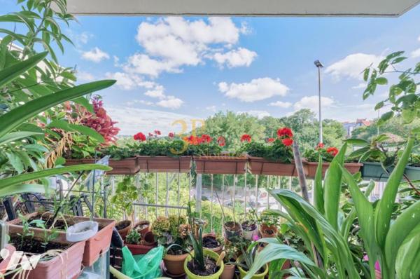 BRY-SUR-MARNE (Val-de-Marne) - Appartement 4 pièces principales avec Cave