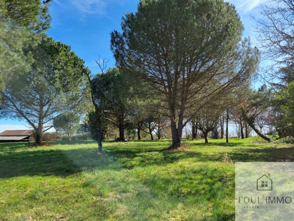 LIMITE LAYRAC ET MOIRAX Layrac (47390)