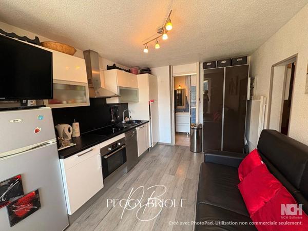 À vendre ,Appartement lumineux avec très belle vue sur les pistes ? Les Angles (66210)