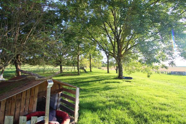 Montaigu-le-Blin (03150) Propriété rénovée à vendre en pleine campagne !