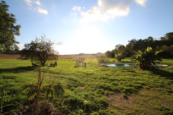 Montaigu-le-Blin (03150) Propriété rénovée à vendre en pleine campagne !