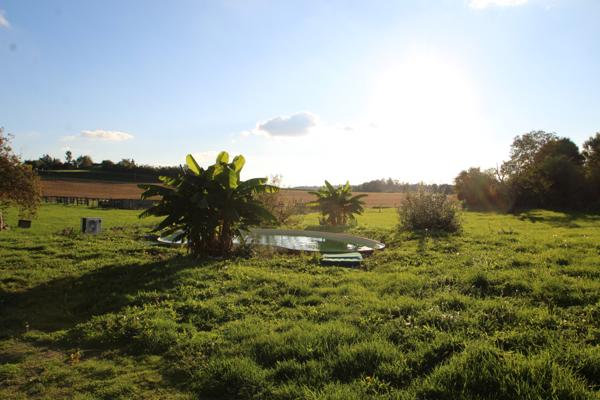 Montaigu-le-Blin (03150) Propriété rénovée à vendre en pleine campagne !