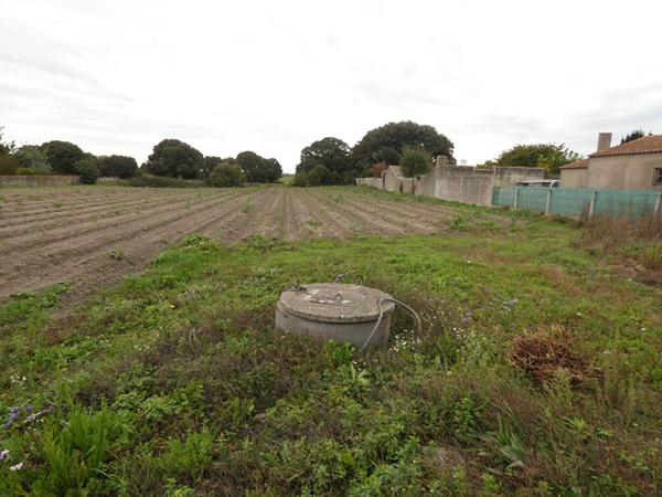 Terrain Noirmoutier En L'Île