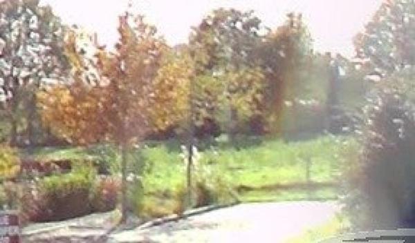 Terrain constructible de 439 m2