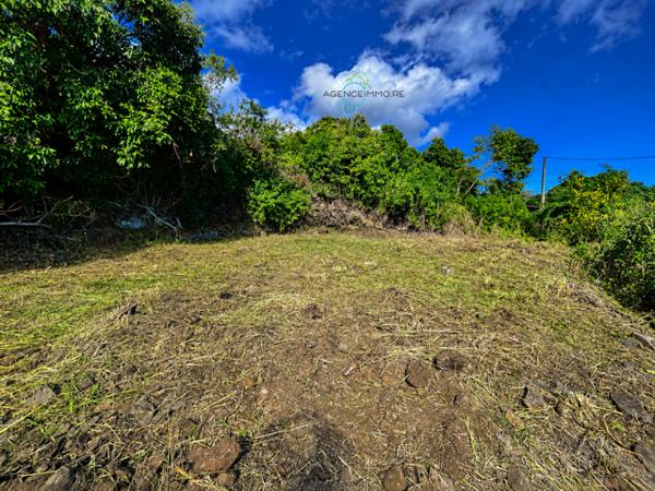 TERRAIN CONSTRUCTIBLE A BOIS DE NEFLES SAINT PAUL