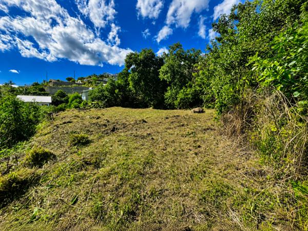 TERRAIN CONSTRUCTIBLE A BOIS DE NEFLES SAINT PAUL
