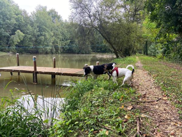 Petit coin de paradis