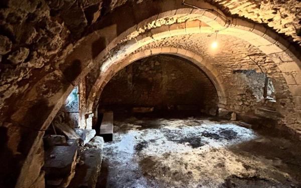 Maison à vendre    14 pièces • 518,04 m2 Chauvigny