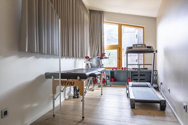 maison à vendre  11 pièces - 338 m2 AVORIAZ - 74