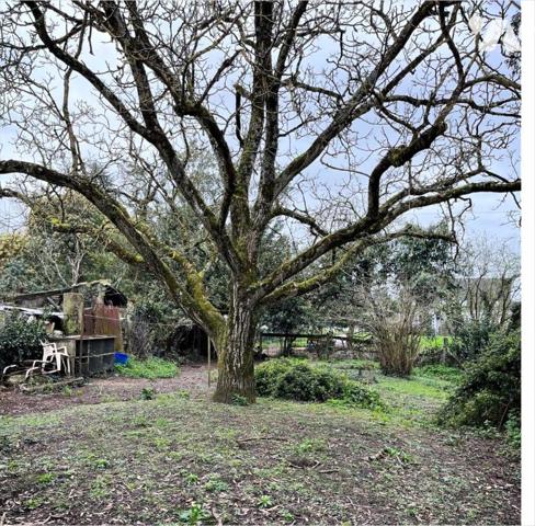 Maison à fort potentiel Saint Herblain- bourg