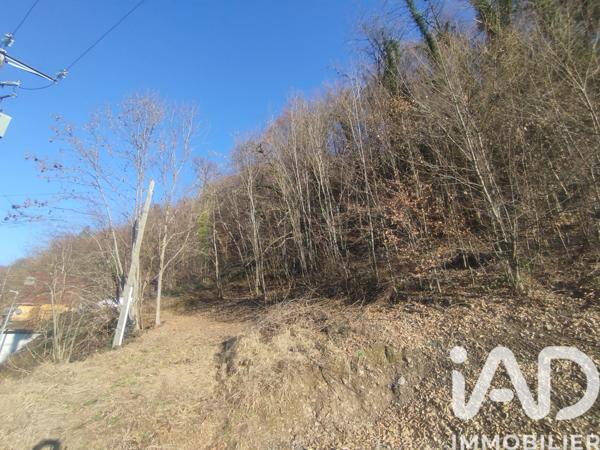 Terrain à vendre 999 m² Césarches