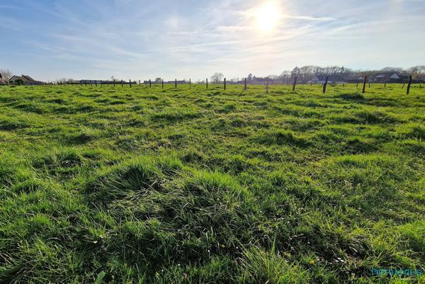 ST REMY TERRAIN CONSTRUCTIBLE 751m²