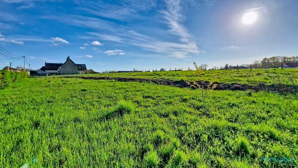 ST REMY TERRAIN CONSTRUCTIBLE 751m²