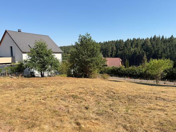 Terrain constructible OBERHASLACH 7 ares 35