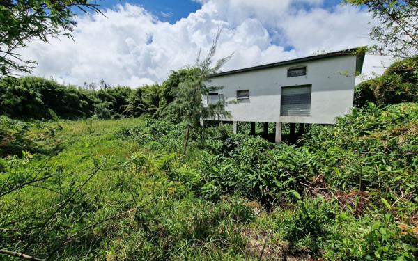 Maison à vendre    3 pièces • 91 m2 La Plaine-des-Palmistes