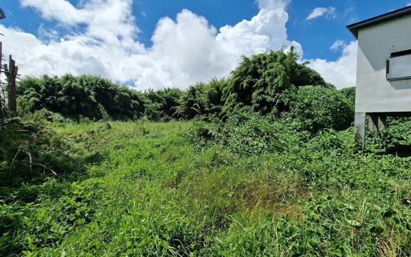 Maison à vendre    3 pièces • 91 m2 La Plaine-des-Palmistes