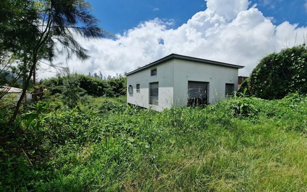 Maison à vendre    3 pièces • 91 m2 La Plaine-des-Palmistes