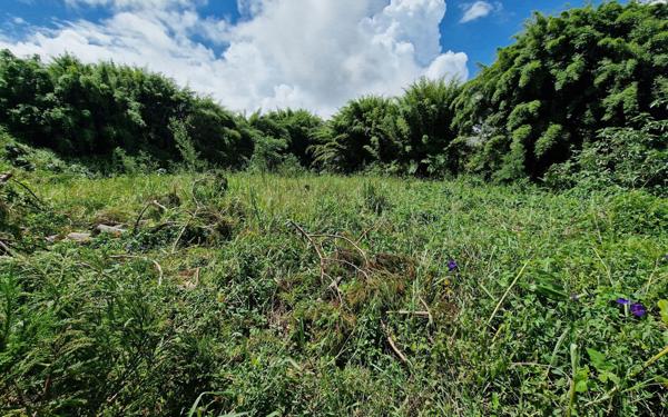 Maison à vendre    3 pièces • 91 m2 La Plaine-des-Palmistes