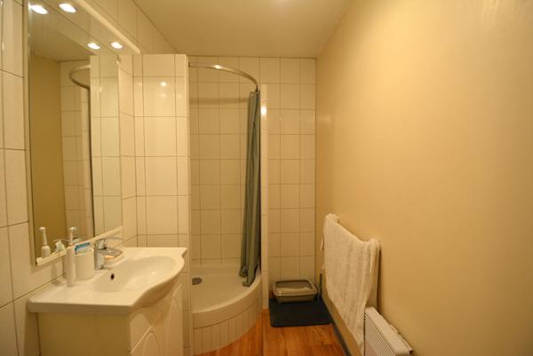 Appartement Le Kremlin Bicetre 1 pièce(s)