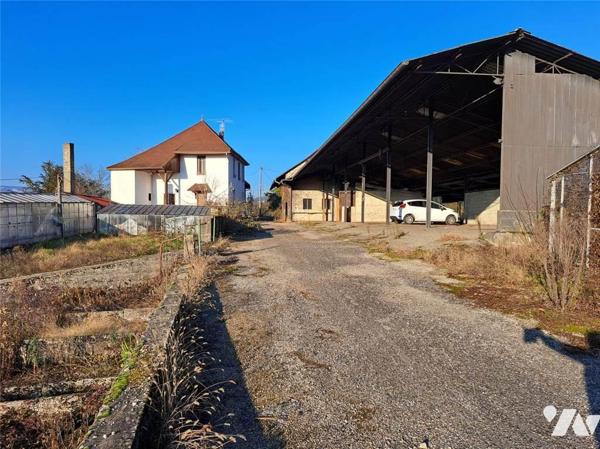 A VENDRE MAISON ET DEPENDANCES - BELLEY