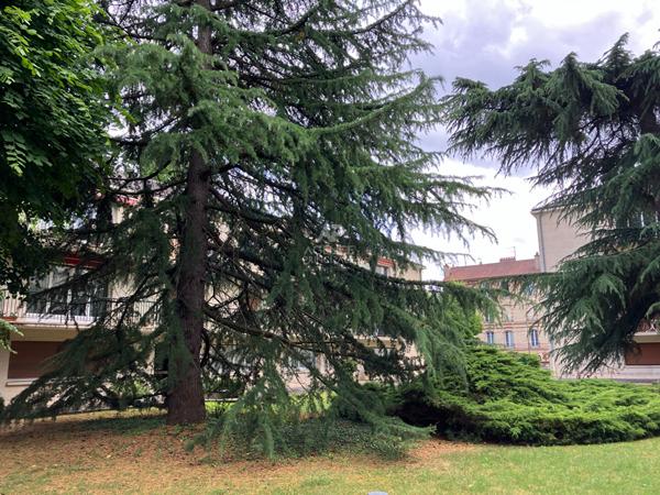 Appartement Maisons Laffitte 3 pièce(s) 68m2 470 000 € **  - Référence  4685