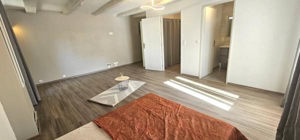 Maison en pierre 224m2 hab. piscine et 145m2 d'annexe