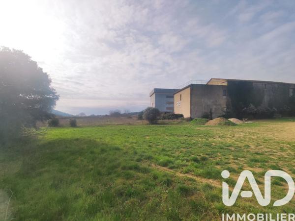 Terrain à vendre 962 m² Gabian