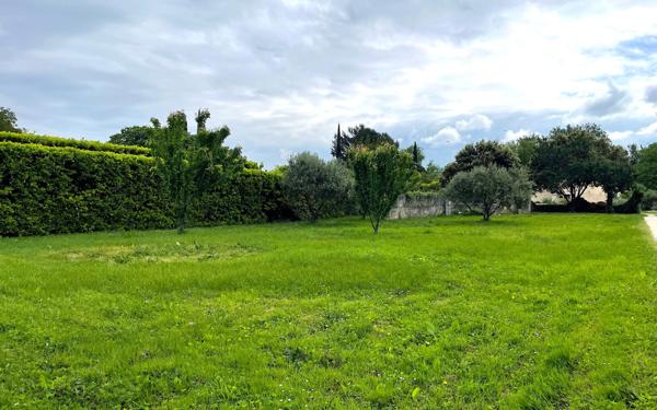 Terrain à vendre    Cruas