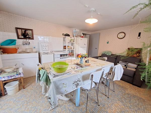 Maison à vendre T5 - Blois - Maison familiale à fort potentiel, 4 Chbs, SS, 2 garages, jardin