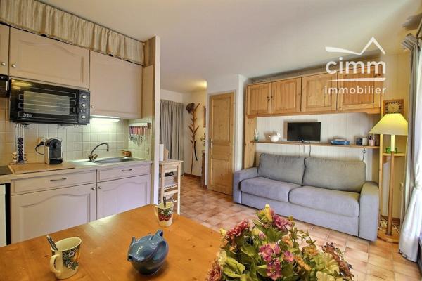 A VENDRE – SAINT GERVAIS LES BAINS (74170) – T2 avec terrasse, jardin et vue Mont Blanc