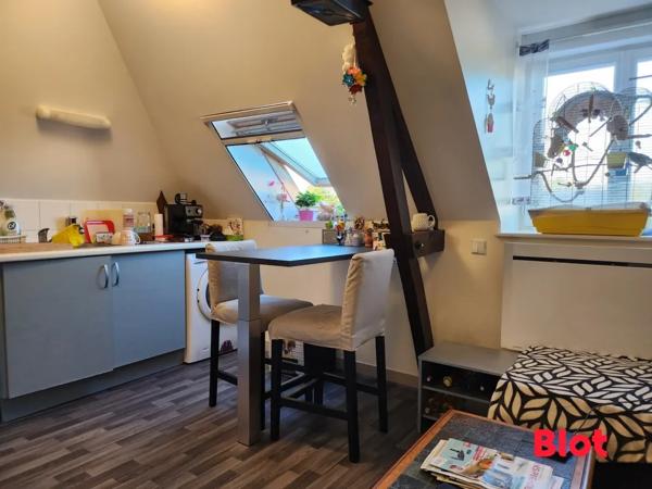 Immeuble 7 pièce(s)